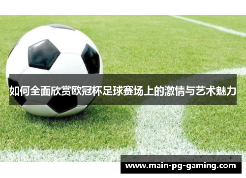 如何全面欣赏欧冠杯足球赛场上的激情与艺术魅力