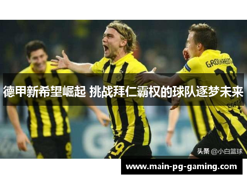 德甲新希望崛起 挑战拜仁霸权的球队逐梦未来 德甲新希望崛起 挑战拜仁霸权的球队逐梦未来
