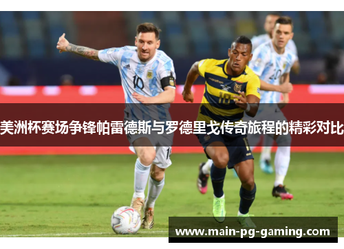 美洲杯赛场争锋帕雷德斯与罗德里戈传奇旅程的精彩对比
