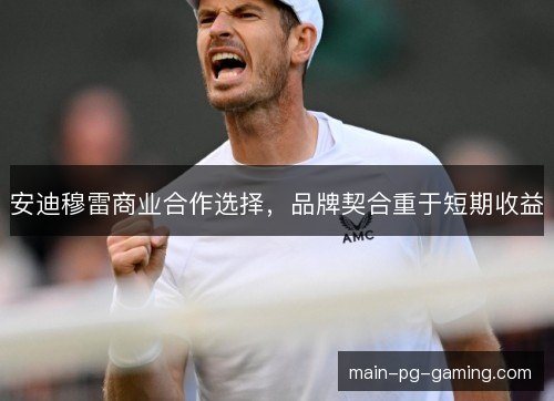 安迪穆雷商业合作选择，品牌契合重于短期收益