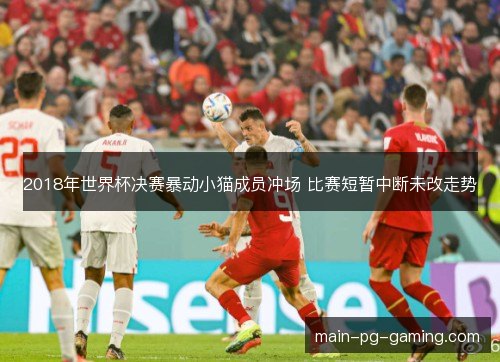 2018年世界杯决赛暴动小猫成员冲场 比赛短暂中断未改走势 2018年世界杯决赛暴动小猫成员冲场 比赛短暂中断未改走势