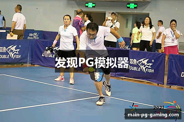 发现PG模拟器